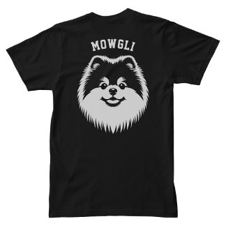 Pomeranian Custom Name Pop Art Sport Font T-Shirt