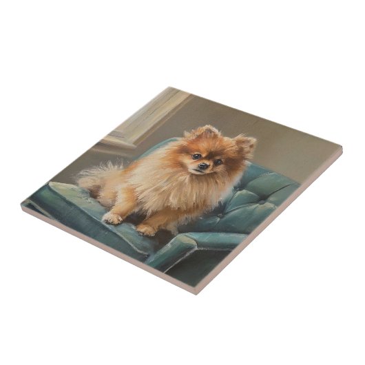 Pomeranian Fliese (Seite)