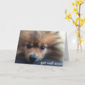 Pomeranian Get Well Soon Card Karte (Gelbe Blume)