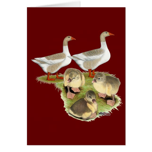 Pomeranian Goose Family (Vorne)