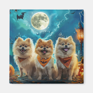 Pomeranian Halloween Gruselig Magnet