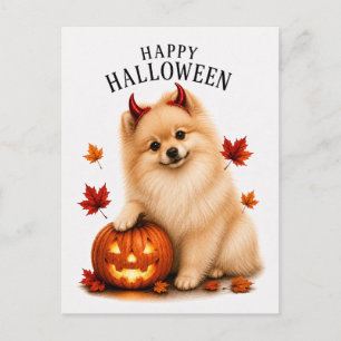 Pomeranian Halloween Postkarte