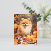 Pomeranian Herbst Dankfest Postkarte (Stehend Vorderseite)