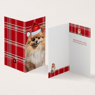 Pomeranian Hund Feiertag Rot Kariert Weihnachten