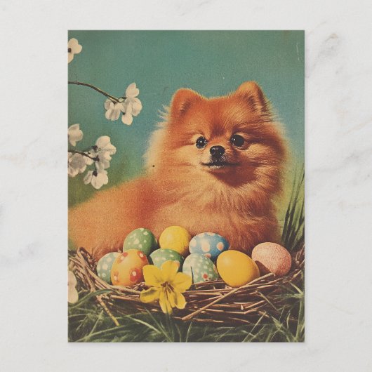 Pomeranian-Hund Ostern im Vintage-Stil Postkarte (Vorderseite)