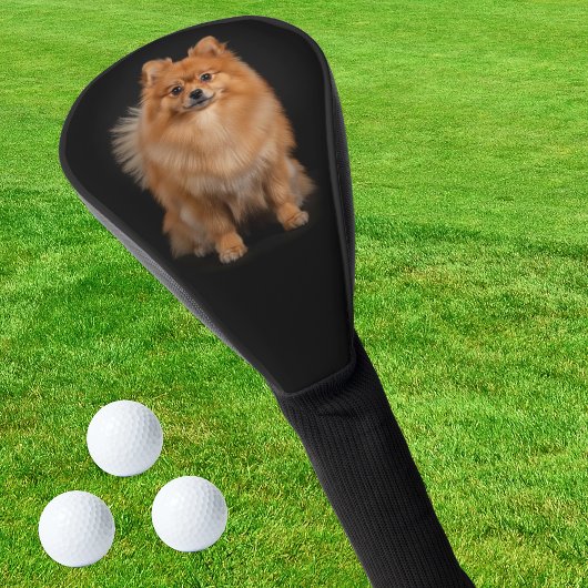 Pomeranian-Hunde-Golf-Driver-Abdeckung, schwarzes Golf Headcover
