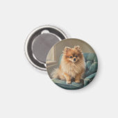 Pomeranian Magnet (Vorderseite/Rückseite)