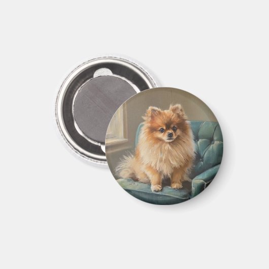 Pomeranian Magnet (Vorderseite/Rückseite)