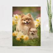 Pomeranian Mama Muttertag Liebe Karte (Vorderseite)