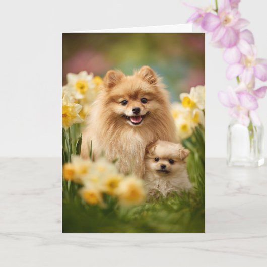 Pomeranian Mama Muttertag Liebe Karte (Orchidee)