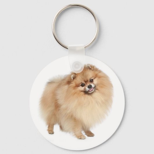 Pomeranian Pom Pom Puppy Dog Keychain Schlüsselanhänger (Vorderseite)