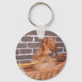 Pomeranian Schlüsselanhänger (Vorderseite)