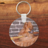 Pomeranian Schlüsselanhänger (Vorderseite)