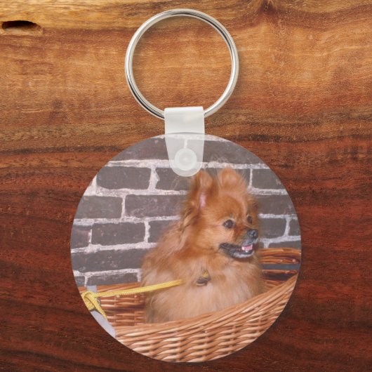 Pomeranian Schlüsselanhänger (Vorderseite)