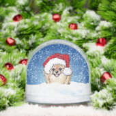Pomeranian Schneekugeln (Weihnachten)