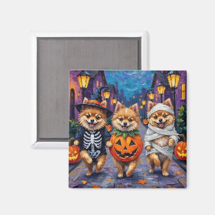 Pomeranian-Süßigkeitenbetteln in Halloween-Kostüme Magnet