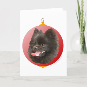 Pomeranian Weihnachten