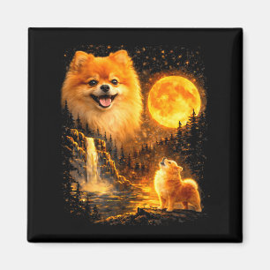 Pomeranian-Welpe heult zu Beschützer unter dem Magnet