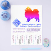 Pomeranian-Welpen Flyer (Einzeln)