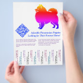 Pomeranian-Welpen Flyer (Hand)