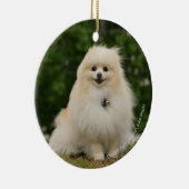 Pomeraning Sitzen Keramik Ornament (Rechts)