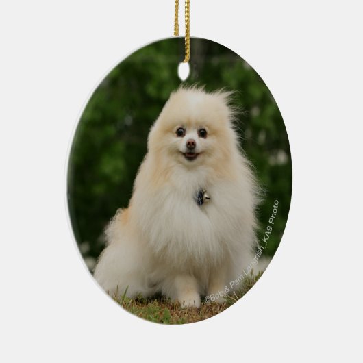 Pomeraning Sitzen Keramik Ornament (Rechts)