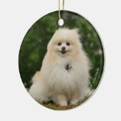 Pomeraning Sitzen Keramik Ornament (Links)