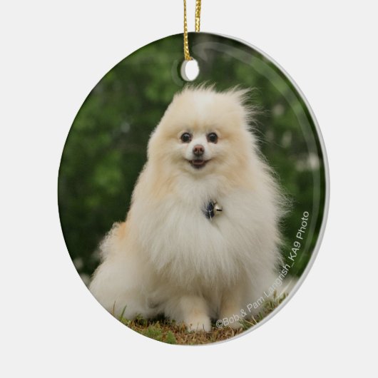 Pomeraning Sitzen Keramik Ornament (Links)