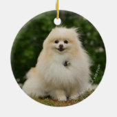 Pomeraning Sitzen Keramik Ornament (Hinten)