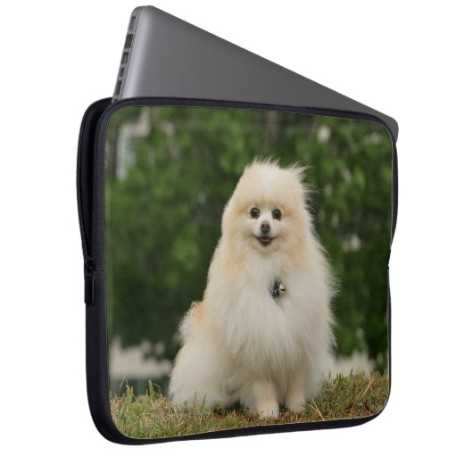 Pomeraning Sitzen Laptopschutzhülle (Vorne Rechts)