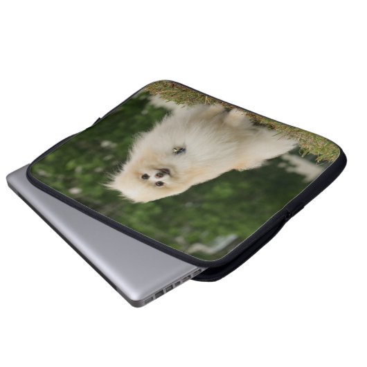 Pomeraning Sitzen Laptopschutzhülle (Vorne Knopf)