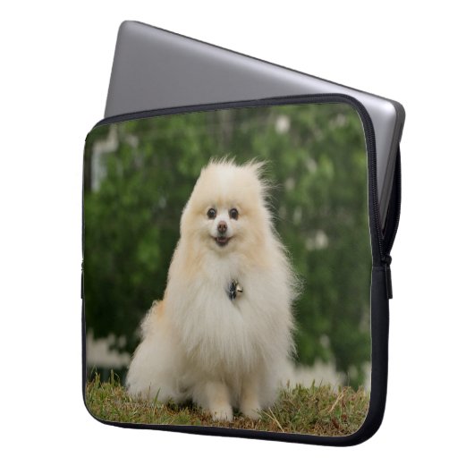 Pomeraning Sitzen Laptopschutzhülle (Vorderseite Links)