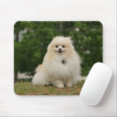 Pomeraning Sitzen Mousepad (Mit Mouse)