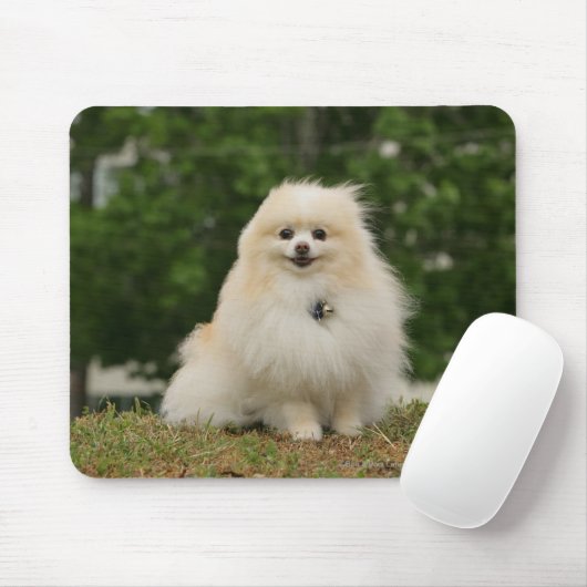 Pomeraning Sitzen Mousepad (Mit Mouse)