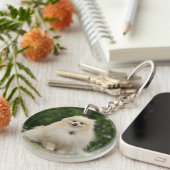 Pomeraning Sitzen Schlüsselanhänger (Vorderseite rechts)