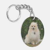 Pomeraning Sitzen Schlüsselanhänger (Vorderseite links)