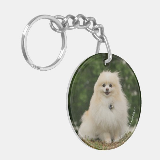 Pomeraning Sitzen Schlüsselanhänger (Vorderseite links)