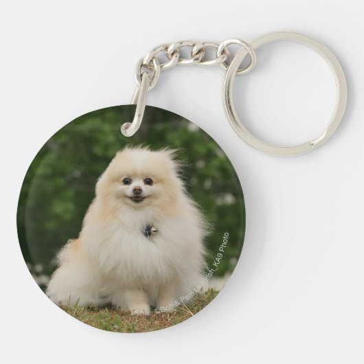 Pomeraning Sitzen Schlüsselanhänger (Rückseite)