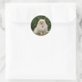 Pomerination Runder Aufkleber (Tasche)