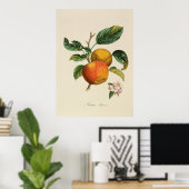Pomme Princesse Poster (Heimbüro)