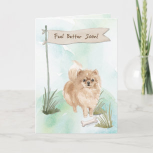 Pommeranian Fee Better After Operation with Dog Karte