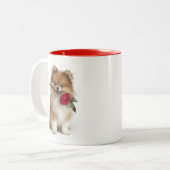 Pommersche Liebe Zweifarbige Tasse (Vorderseite Links)