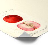 Pomologisches Aquarellfarbe Poster (Ecke)