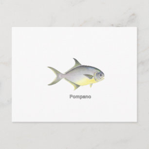 Pompano (mit dem Titel) Postkarte