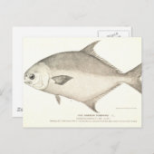 Pompano Postkarte (Vorne/Hinten)
