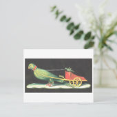 Pompei Fresco der Cricket Driving Bird Carriage Postkarte (Stehend Vorderseite)