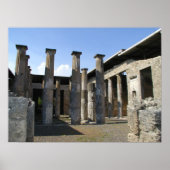 Pompei Preserviert Poster (Vorne)