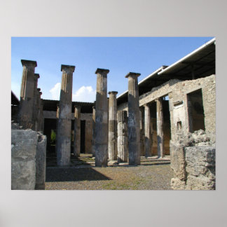 Pompei Preserviert Poster