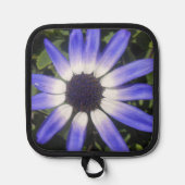 Pompeia Topflappen (Vorderseite)