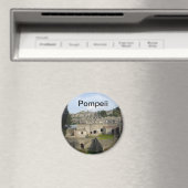 Pompeii-Manager Magnet (In Situ (Geschirrspüler))